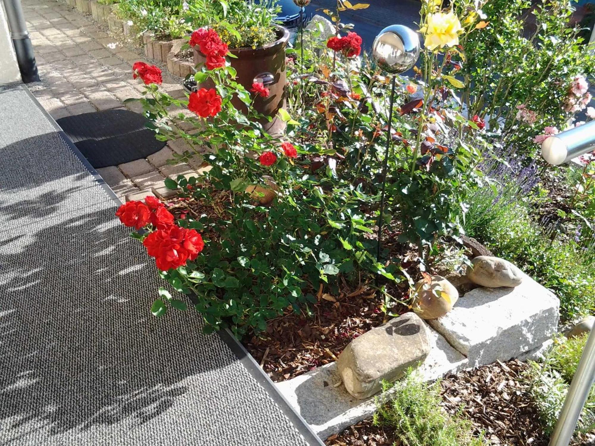 Ferienwohnung Ehret ヴァルト・ミヒェルバッハ エクステリア 写真